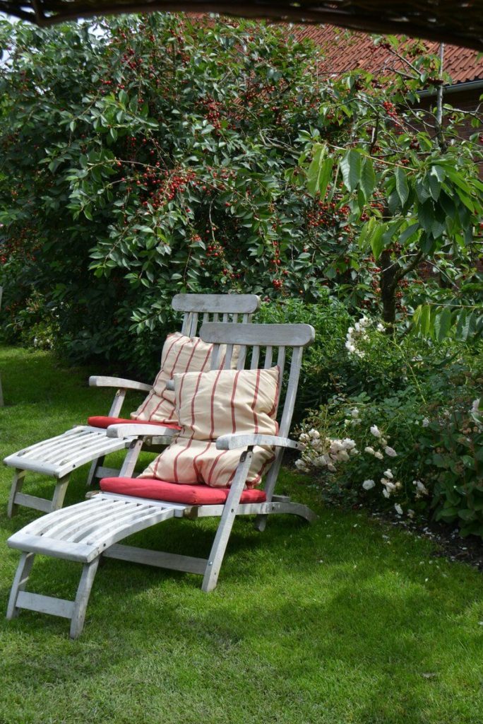 Picknickparadies – Obstparadies Schuback
